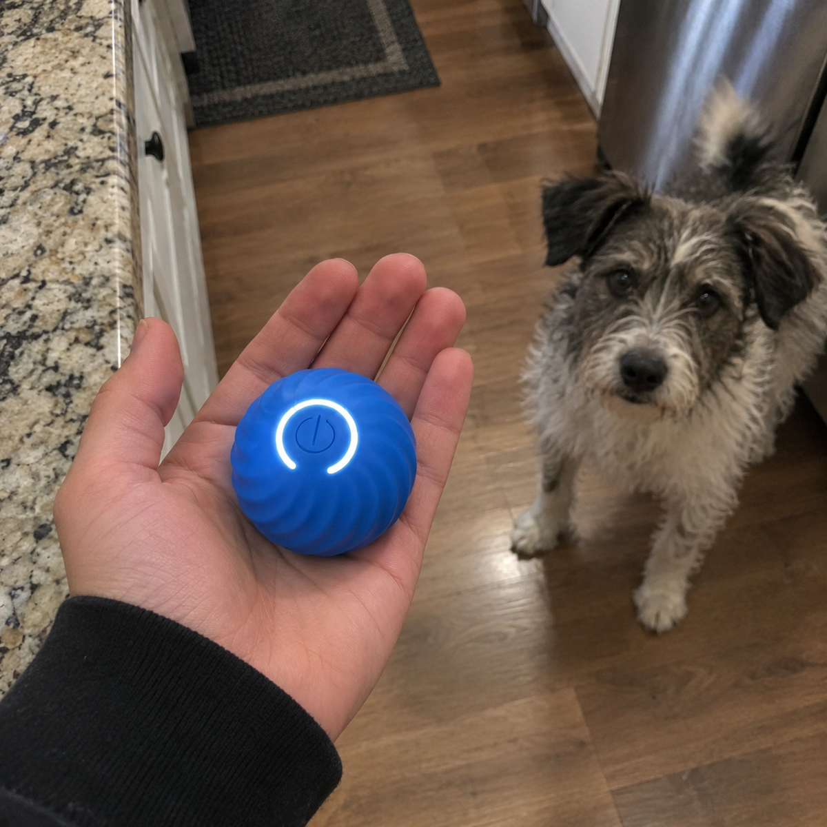 Chase Ball held in an open palm, 2.2 inches across