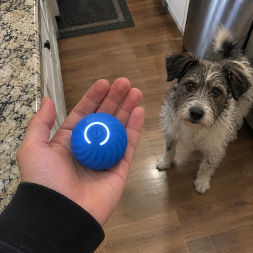 Chase Ball held in an open palm, 2.2 inches across